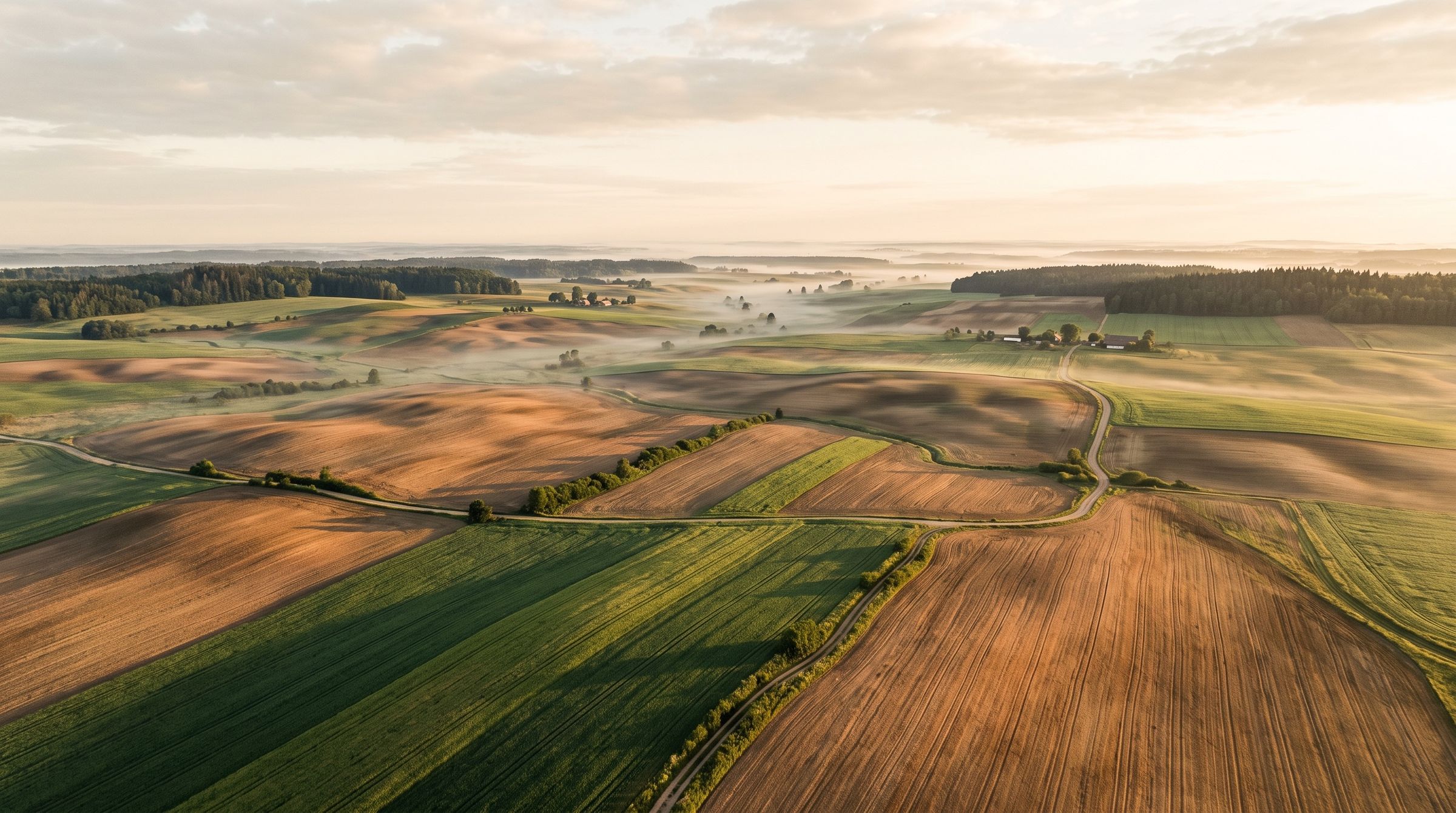 Rolling Slovak farmland at first light, low mist over field rows